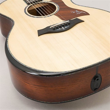 TAYLOR Presentation Series PS14ce Adirondack Top テイラー 画像7