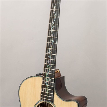 TAYLOR Presentation Series PS14ce Adirondack Top テイラー 画像8