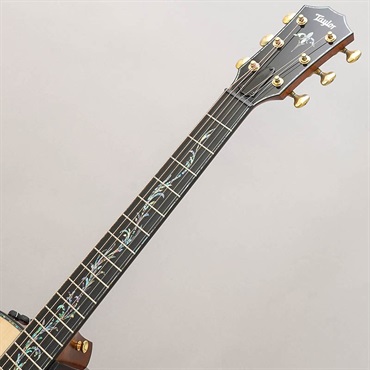 TAYLOR Presentation Series PS14ce Adirondack Top テイラー 画像9