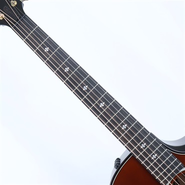 TAYLOR 【数量限定】50th Anniversary Builder's Edition 314ce LTD [1974本限定] [50周年記念モデル] テイラー 画像6