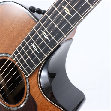 TAYLOR 【数量限定】50th Anniversary Builder's Edition 314ce LTD [1974本限定] [50周年記念モデル] テイラー 画像9