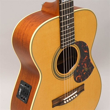 MATON EBG808TE - Tommy Emmanuel - #29878 メイトン 画像6