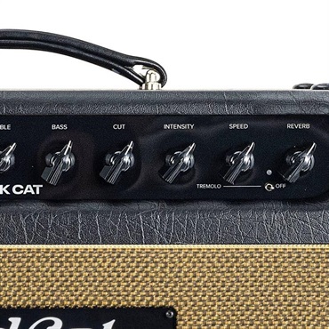 Bad Cat BLACK CAT Head（バッドキャット）【お取り寄せ商品】 画像4
