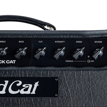 Bad Cat BLACK CAT 1x12 Combo（バッドキャット）【お取り寄せ商品】 画像4