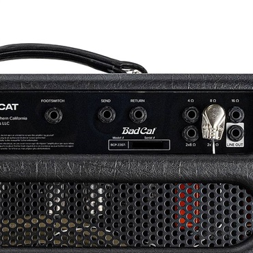 Bad Cat BLACK CAT 1x12 Combo（バッドキャット）【お取り寄せ商品】 画像6