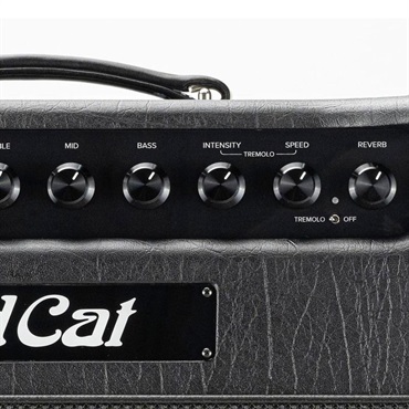 Bad Cat JET BLACK 1x12 Combo（バッドキャット）【お取り寄せ商品】 画像4