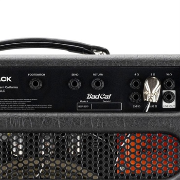 Bad Cat JET BLACK 1x12 Combo（バッドキャット）【お取り寄せ商品】 画像6