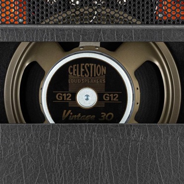 Bad Cat JET BLACK 1x12 Combo（バッドキャット）【お取り寄せ商品】 画像7