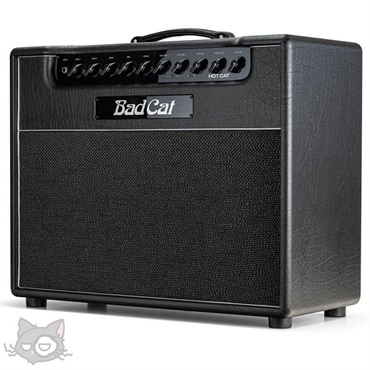 Bad Cat HOT CAT 1x12 Combo（バッドキャット）【お取り寄せ商品】 画像2