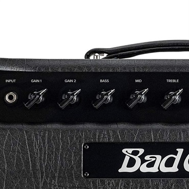 Bad Cat HOT CAT 1x12 Combo（バッドキャット）【お取り寄せ商品】 画像3