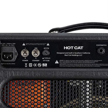 Bad Cat HOT CAT 1x12 Combo（バッドキャット）【お取り寄せ商品】 画像5