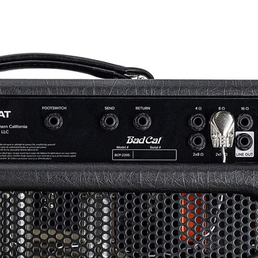 Bad Cat HOT CAT 1x12 Combo（バッドキャット）【お取り寄せ商品】 画像6