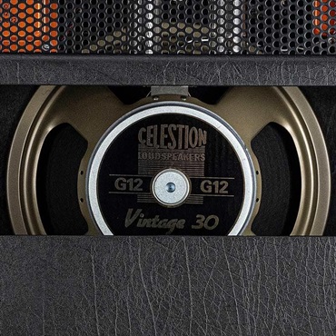 Bad Cat HOT CAT 1x12 Combo（バッドキャット）【お取り寄せ商品】 画像7