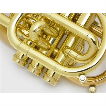 CAROL BRASS キャロルブラス / N7000 SATIN-BELL GB (Dizzy) 【Bb ポケット トランペット 】【出荷前調整で安心】 画像4