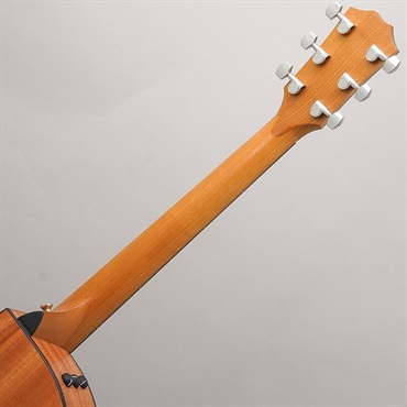 TAYLOR 114ce テイラー 画像10