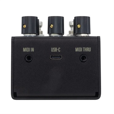 WALRUS AUDIO Mako Series MKII: R1 High-Fidelity Reverb [WAL-MAKO/R1MK2]（ウォルラスオーディオ）リバーブ 画像3