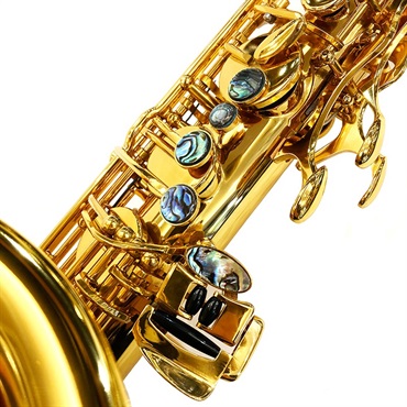 Brasspire Unicorn 【店頭展示処分品！】テナーサックス ブラスパイアー・ユニコーン BPT1-GL 【調整&セットアップ後出荷】【5年間キーバランス調整無料】【大決算セール】 画像3