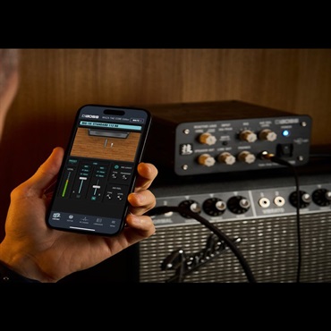 BOSS 【WEB限定在庫処分セール】WAZA Tube Amp Expander Core [W-TAE CORE] （技 ワザ エキスパンダー コア ボス） 画像7