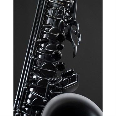 Selmer Paris 【限定モデル】アルトサックス セルマー Supreme シュプレーム 2025 Limited Edition マットブラックラッカー 【調整&セットアップ後出荷】【5年間キーバランス調整無料】 画像5