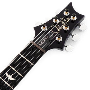 P.R.S. S2 Custom 24 Custom Configuration (Whale Blue) SN.S2078877 【2024年生産モデル】 画像6
