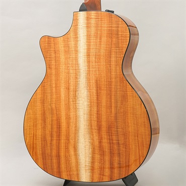 TAYLOR LTD 924ce 50th Anniversary Amp テイラー 画像2