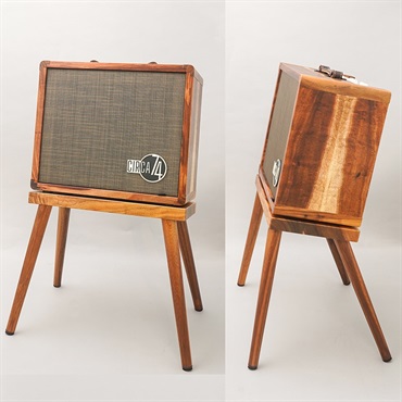 TAYLOR LTD 924ce 50th Anniversary Amp テイラー 画像9