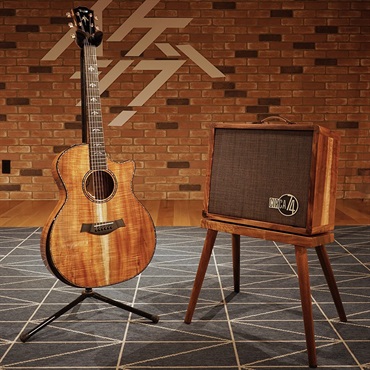 TAYLOR LTD 924ce 50th Anniversary Amp テイラー 画像10