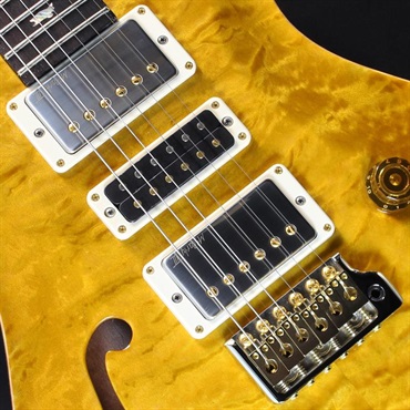 P.R.S. Ikebe 50th Anniversary Wood Library Special Semi-Hollow (Honey Gold) #0402026【2025年生産品】 画像3