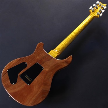 P.R.S. Ikebe 50th Anniversary Wood Library Special Semi-Hollow (Honey Gold) #0402026【2025年生産品】 画像5