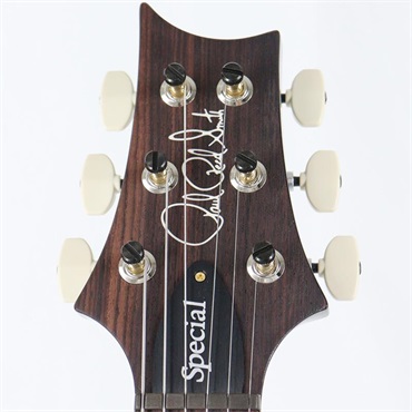 P.R.S. Ikebe 50th Anniversary Wood Library Special Semi-Hollow (Teal) [SN.0401648] 【2025年生産品】 画像9