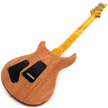 P.R.S. 【Paul Reed Smith氏サインイン入りバックプレート付属！】 Ikebe 50th Anniversary Wood Library Special Semi-Hollow (Honey Gold) SN.0402027 画像2