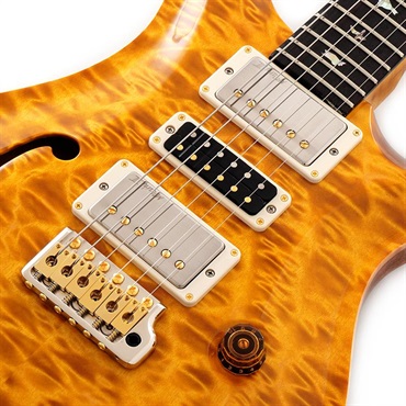 P.R.S. 【Paul Reed Smith氏サインイン入りバックプレート付属！】 Ikebe 50th Anniversary Wood Library Special Semi-Hollow (Honey Gold) SN.0402027 画像3
