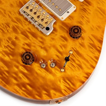 P.R.S. 【Paul Reed Smith氏サインイン入りバックプレート付属！】 Ikebe 50th Anniversary Wood Library Special Semi-Hollow (Honey Gold) SN.0402027 画像4