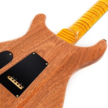 P.R.S. 【Paul Reed Smith氏サインイン入りバックプレート付属！】 Ikebe 50th Anniversary Wood Library Special Semi-Hollow (Honey Gold) SN.0402027 画像5