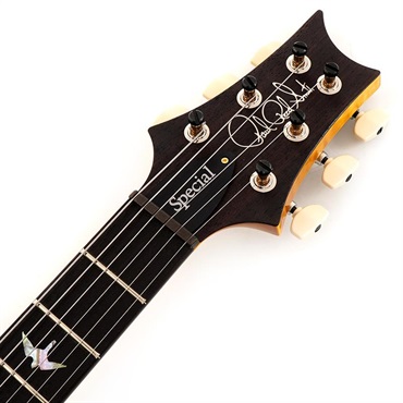P.R.S. 【Paul Reed Smith氏サインイン入りバックプレート付属！】 Ikebe 50th Anniversary Wood Library Special Semi-Hollow (Honey Gold) SN.0402027 画像6