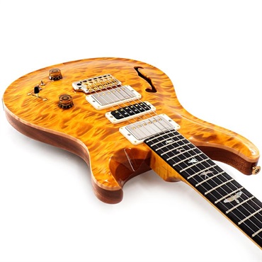 P.R.S. 【Paul Reed Smith氏サインイン入りバックプレート付属！】 Ikebe 50th Anniversary Wood Library Special Semi-Hollow (Honey Gold) SN.0402027 画像8