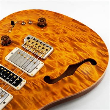 P.R.S. 【Paul Reed Smith氏サインイン入りバックプレート付属！】 Ikebe 50th Anniversary Wood Library Special Semi-Hollow (Honey Gold) SN.0402027 画像9