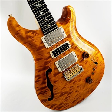 P.R.S. 【Paul Reed Smith氏サインイン入りバックプレート付属！】 Ikebe 50th Anniversary Wood Library Special Semi-Hollow (Honey Gold) SN.0402027 画像10