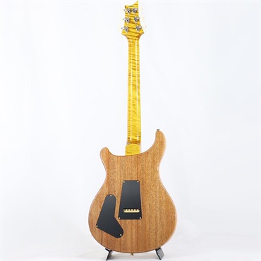 P.R.S. Ikebe 50th Anniversary Wood Library Special Semi-Hollow (Honey Gold) [SN.0401647] 【2025年生産品】 画像2