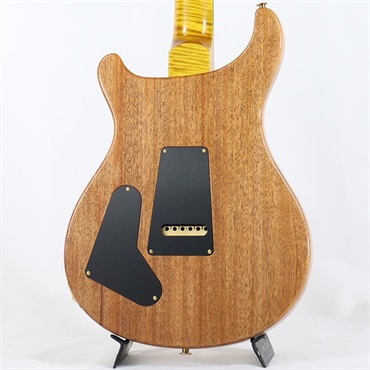 P.R.S. Ikebe 50th Anniversary Wood Library Special Semi-Hollow (Honey Gold) [SN.0401647] 【2025年生産品】 画像3