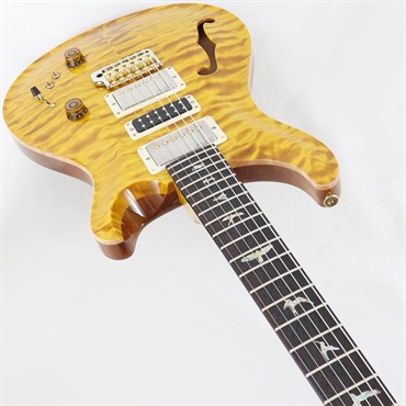 P.R.S. Ikebe 50th Anniversary Wood Library Special Semi-Hollow (Honey Gold) [SN.0401647] 【2025年生産品】 画像4