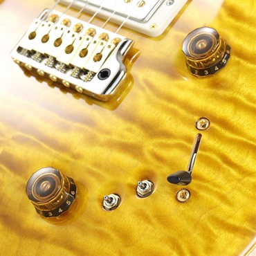 P.R.S. Ikebe 50th Anniversary Wood Library Special Semi-Hollow (Honey Gold) [SN.0401647] 【2025年生産品】 画像5