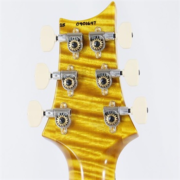 P.R.S. Ikebe 50th Anniversary Wood Library Special Semi-Hollow (Honey Gold) [SN.0401647] 【2025年生産品】 画像10