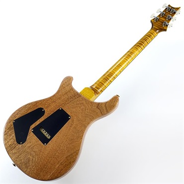 P.R.S. 【Paul Reed Smith氏サインイン入りバックプレート付属！】 Ikebe 50th Anniversary Wood Library Special Semi-Hollow (Honey Gold) SN.0401646 画像2