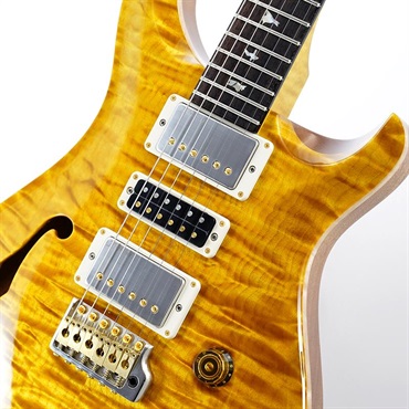 P.R.S. 【Paul Reed Smith氏サインイン入りバックプレート付属！】 Ikebe 50th Anniversary Wood Library Special Semi-Hollow (Honey Gold) SN.0401646 画像3