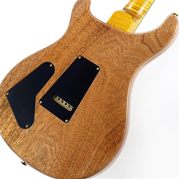 P.R.S. 【Paul Reed Smith氏サインイン入りバックプレート付属！】 Ikebe 50th Anniversary Wood Library Special Semi-Hollow (Honey Gold) SN.0401646 画像7