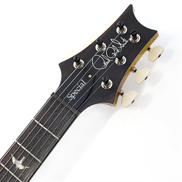 P.R.S. 【Paul Reed Smith氏サインイン入りバックプレート付属！】 Ikebe 50th Anniversary Wood Library Special Semi-Hollow (Honey Gold) SN.0401646 画像8