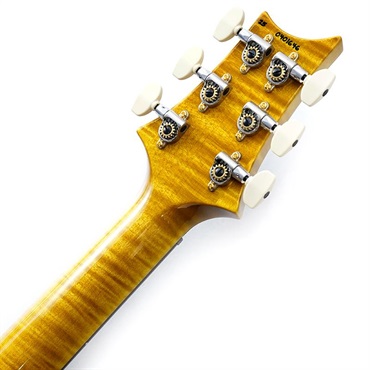 P.R.S. 【Paul Reed Smith氏サインイン入りバックプレート付属！】 Ikebe 50th Anniversary Wood Library Special Semi-Hollow (Honey Gold) SN.0401646 画像9