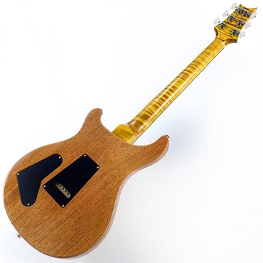 P.R.S. 【Paul Reed Smith氏サインイン入りバックプレート付属！】 Ikebe 50th Anniversary Wood Library Special Semi-Hollow (Honey Gold) SN.0401654 画像2