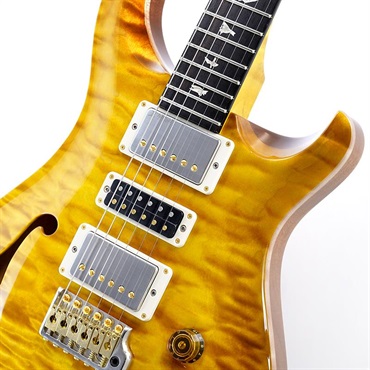 P.R.S. 【Paul Reed Smith氏サインイン入りバックプレート付属！】 Ikebe 50th Anniversary Wood Library Special Semi-Hollow (Honey Gold) SN.0401654 画像3